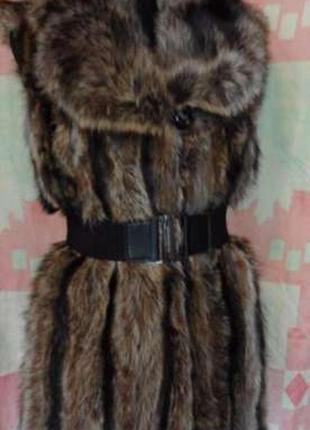 Жилет з єнота