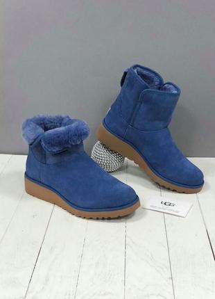 Синие водоотталкивающие сапоги  ugg