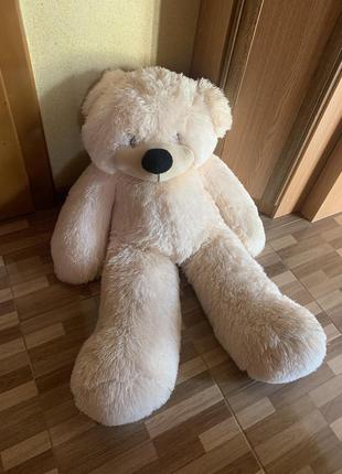 Плюшевий ведмідь