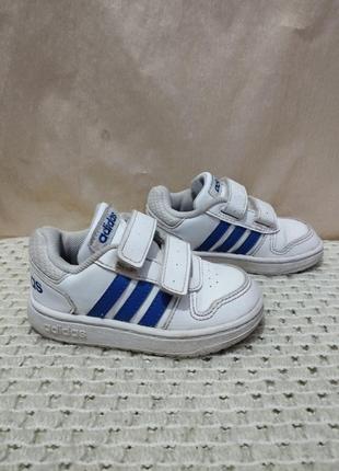 Кроссовки adidas2 фото