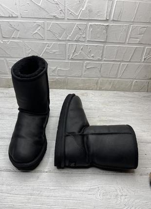 Сапоги ugg3 фото