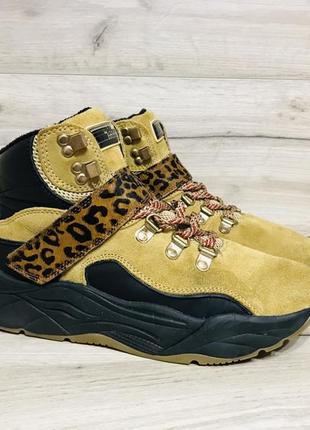 Sneakers maison scotch hotsell