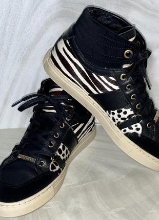 Демисезонные ботинки кроссовки tommy hilfiger(оригинал)р.371 фото