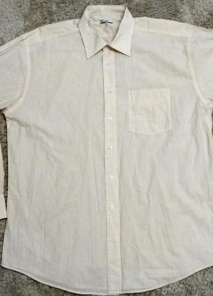 Сорочка чоловіча в клітинку