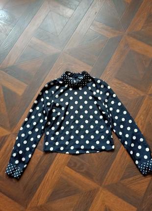 Тонка блузка, блуза в горошок1 фото