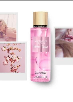 Парфумированный спрей міст velvet petals 💕victoria's secret вікторія сікрет вікторія сікрет оригінал