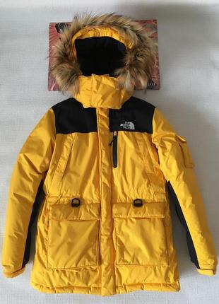 The north face пуховик p150