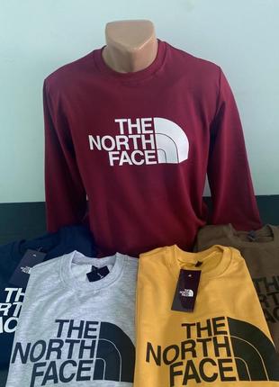 Стильний чоловічий світшот двохнитка