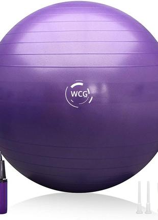 Мяч для фитнеса (фитбол) wcg 65 anti-burst 300кг фиолетовый  + насос