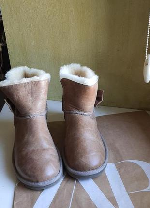 Сапоги ugg 37 размер3 фото