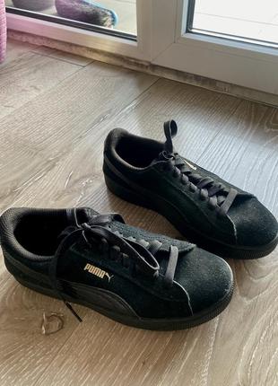 Кєди puma
