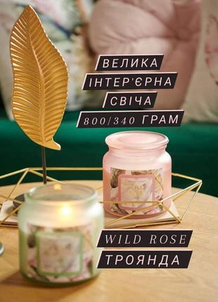 Ароматична інтер'єрна велика свічка wild rose 800 / 340 г аромат троянди