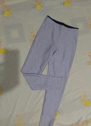 Лосіни, легинсы,