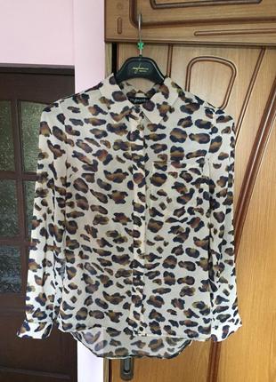 Блузка тигровий принт2 фото