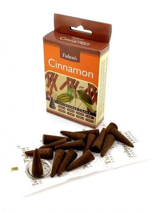 Cinnamon incense cones (корица)(tulasi) конусы1 фото