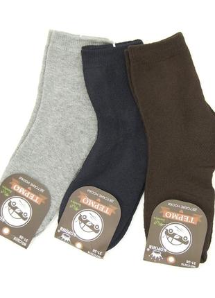 Комплект носков для хлопчика lion різнокольорові (c3218 bl-gr-brown (31-36)