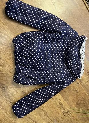 Куртка на весну-осінь nata 6