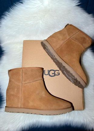 Зимние женские теплые сапоги ugg classic femme 43 размер доставка2 фото