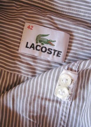 Рубашка в полоску lacoste (оригинал)  обхват груди 124 см.1 фото