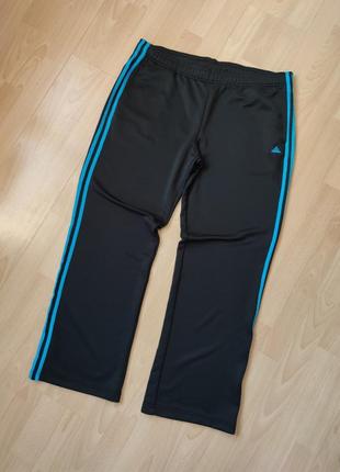 Спортивні штани adidas climalite