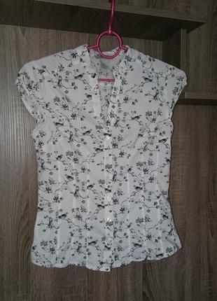 Блузка блуза h&m женская с коротким рукавом 447 фото