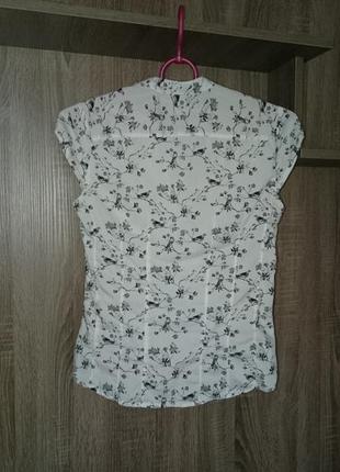Блузка блуза h&m женская с коротким рукавом 443 фото