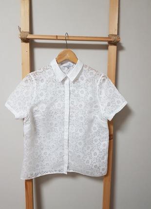 Рубашка женская redherring