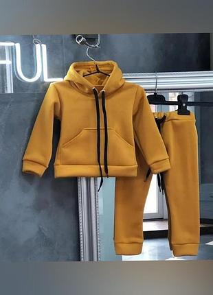 Теплий та стильний костюм,тринитка на флісі, багато кольорів