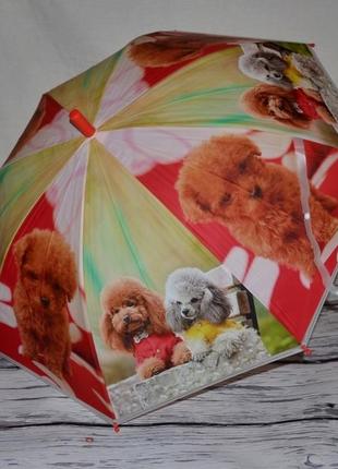 Зонт зонт детский с яркими героями матовый яркий и веселый живые собачки щенков
