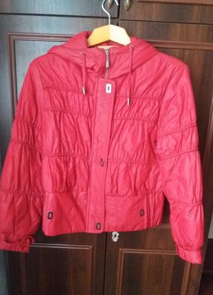 Курточка осінь-зима