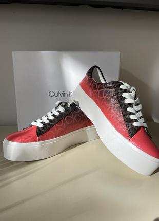 Кеди calvin klein