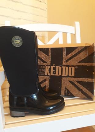 Резиновые сапоги keddo