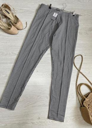 Легінси chicoree