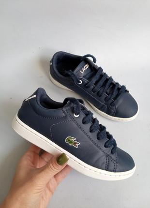 Кросівки lacoste