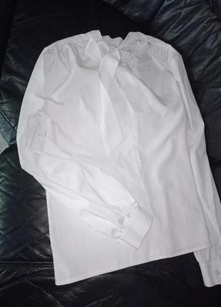 Жіноча блуза бант7 фото