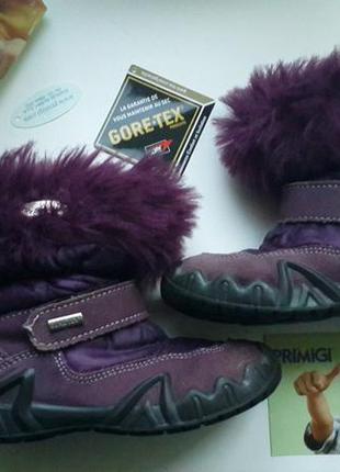 Термо сапоги primigi gore-tex 25 размер еврозима