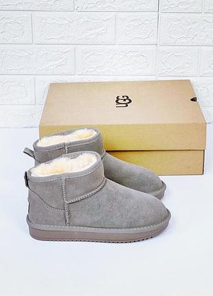 Уггі жіночі низенькі міні замш ugg mini бежеві унісекс