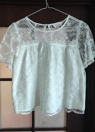 Блузка кружево xs/s(10)