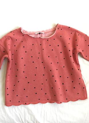 Милий світшот в цятку теплий