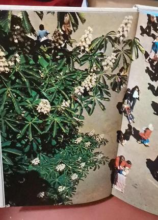 Книга-фотоальбом київ 1981 валентин дєдов, едуард каліка9 фото
