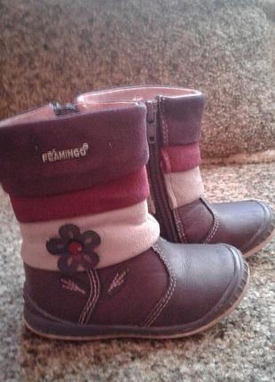 Ботіночки  flamingo