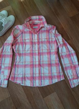 Рубашка colombia