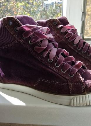 Кеди clarks, натуральна замша