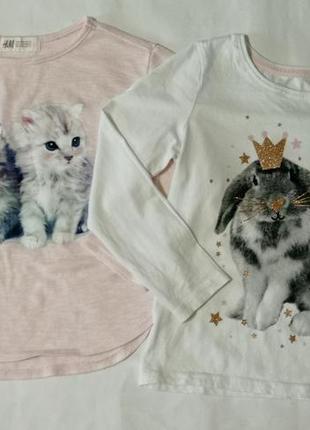 Кофта, реглан фирма h&m на 4-6 лет на 116 см