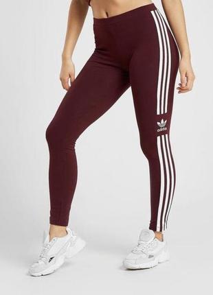 Лосіни легінси adidas
