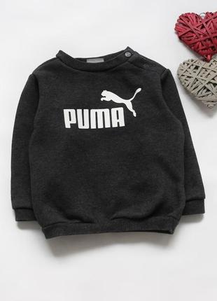 Кофта, світшот puma (оригінал) 4-6 місяців