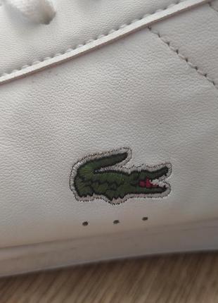 Шкіряні кросівки lacoste sport carnaby evo5 фото