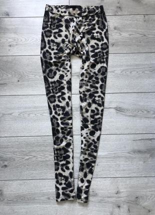 Легінси лосіни