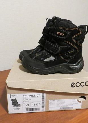 Зимові черевички ecco 29 розмір