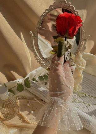 Рукавички з сітки мереживні в фатинові горошок для фотосесій сексуальні для нареченої весільні2 фото